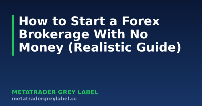 How to Start a Forex Brokerage With No Money (Realistic Guide) - MetaTrader grey label guide